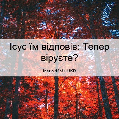 Picture 06 - Івана 16:31 UKR - Ісус їм відповів: Тепер - Bible Verse Picture