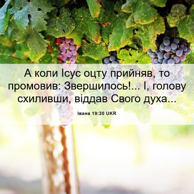Picture 06 - Івана 19:30 UKR - А коли Ісус оцту прийняв, - Bible Verse Picture