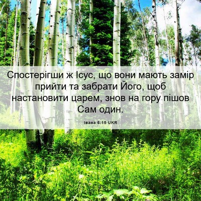 Picture 06 - Івана 6:15 UKR - Спостерігши ж Ісус, що вони - Bible Verse Picture