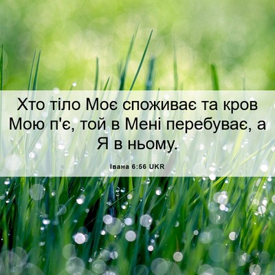 Picture 06 - Івана 6:56 UKR - Хто тіло Моє споживає та - Bible Verse Picture