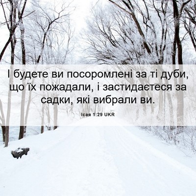 Picture 06 - Ісая 1:29 UKR - І будете ви посоромлені за - Bible Verse Picture