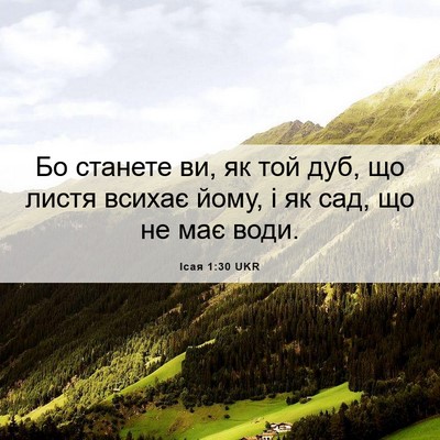 Picture 06 - Ісая 1:30 UKR - Бо станете ви, як той дуб, - Bible Verse Picture