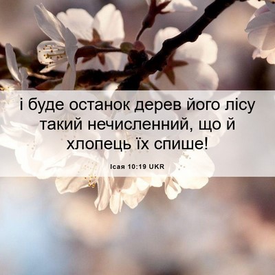 Picture 06 - Ісая 10:19 UKR - і буде останок дерев його - Bible Verse Picture