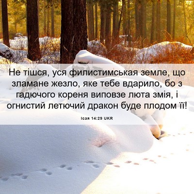Picture 06 - Ісая 14:29 UKR - Не тішся, уся - Bible Verse Picture
