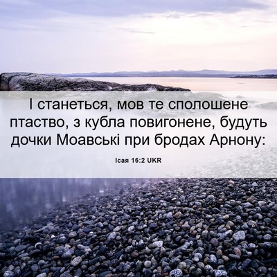 Picture 06 - Ісая 16:2 UKR - І станеться, мов те - Bible Verse Picture