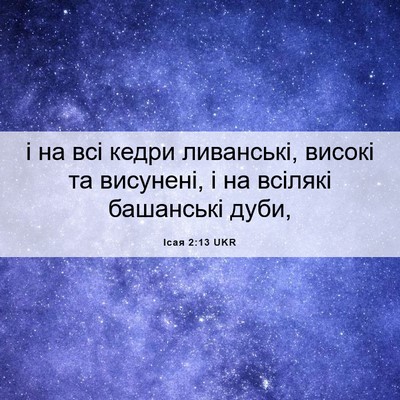 Picture 06 - Ісая 2:13 UKR - і на всі кедри ливанські, - Bible Verse Picture