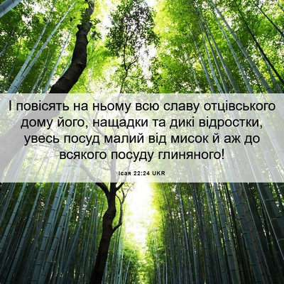 Picture 06 - Ісая 22:24 UKR - І повісять на ньому всю - Bible Verse Picture