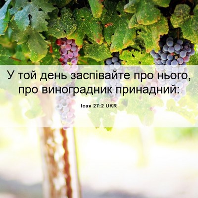 Picture 06 - Ісая 27:2 UKR - У той день заспівайте про - Bible Verse Picture