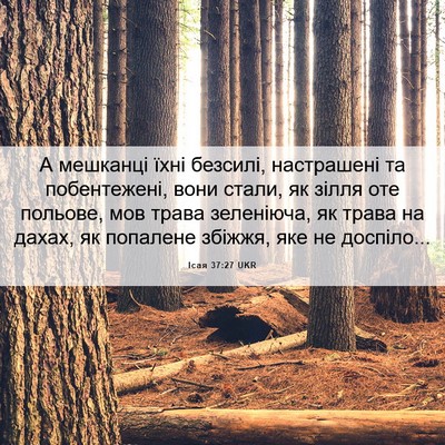 Picture 06 - Ісая 37:27 UKR - А мешканці їхні безсилі, - Bible Verse Picture