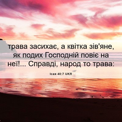 Picture 06 - Ісая 40:7 UKR - трава засихає, а квітка - Bible Verse Picture