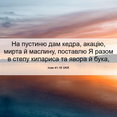 Picture 06 - Ісая 41:19 UKR - На пустиню дам кедра, - Bible Verse Picture