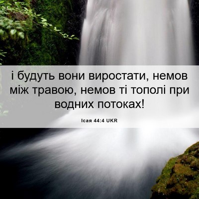 Picture 06 - Ісая 44:4 UKR - і будуть вони виростати, - Bible Verse Picture
