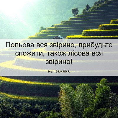 Picture 06 - Ісая 56:9 UKR - Польова вся звірино, - Bible Verse Picture