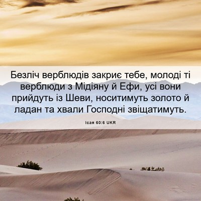 Picture 06 - Ісая 60:6 UKR - Безліч верблюдів закриє - Bible Verse Picture