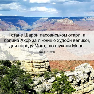 Picture 06 - Ісая 65:10 UKR - І стане Шарон пасовиськом - Bible Verse Picture