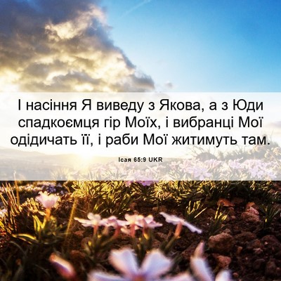 Picture 06 - Ісая 65:9 UKR - І насіння Я виведу з Якова, - Bible Verse Picture