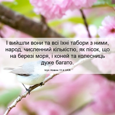 Picture 06 - Ісус Навин 11:4 UKR - І вийшли вони та всі їхні - Bible Verse Picture