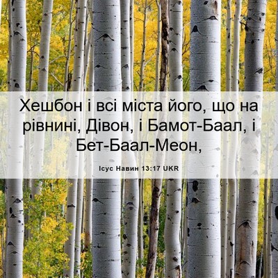Picture 06 - Ісус Навин 13:17 UKR - Хешбон і всі міста його, що - Bible Verse Picture