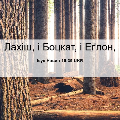 Picture 06 - Ісус Навин 15:39 UKR - Лахіш, і Боцкат, і - Bible Verse Picture