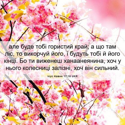 Picture 06 - Ісус Навин 17:18 UKR - але буде тобі гористий - Bible Verse Picture