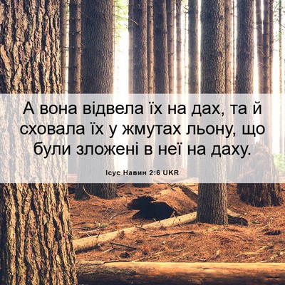 Picture 06 - Ісус Навин 2:6 UKR - А вона відвела їх на дах, та - Bible Verse Picture