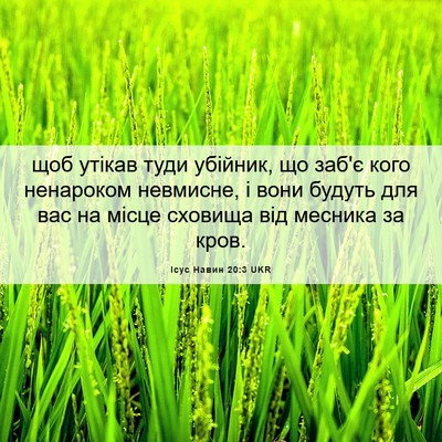 Picture 06 - Ісус Навин 20:3 UKR - щоб утікав туди убійник, що - Bible Verse Picture