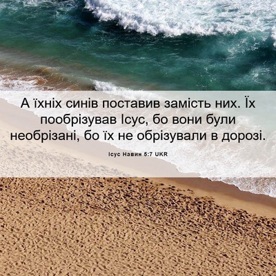 Picture 06 - Ісус Навин 5:7 UKR - А їхніх синів поставив - Bible Verse Picture