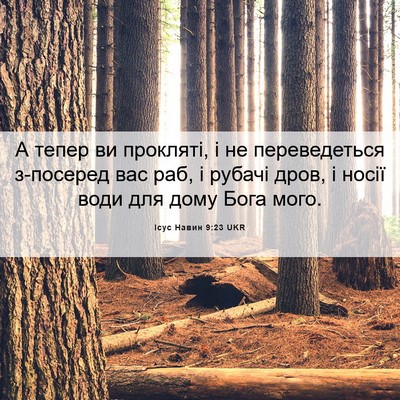 Picture 06 - Ісус Навин 9:23 UKR - А тепер ви прокляті, і не - Bible Verse Picture