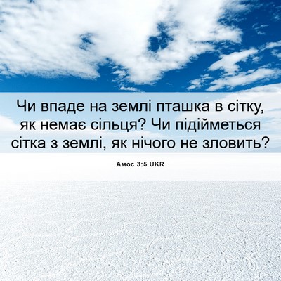 Picture 06 - Амос 3:5 UKR - Чи впаде на землі пташка в - Bible Verse Picture