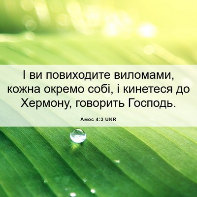 Picture 06 - Амос 4:3 UKR - І ви повиходите виломами, - Bible Verse Picture