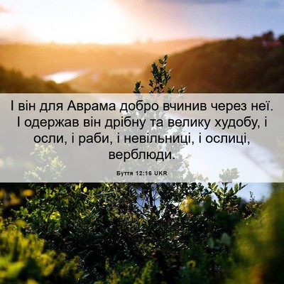 Picture 06 - Буття 12:16 UKR - І він для Аврама добро - Bible Verse Picture