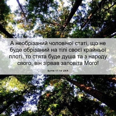 Picture 06 - Буття 17:14 UKR - А необрізаний чоловічої - Bible Verse Picture