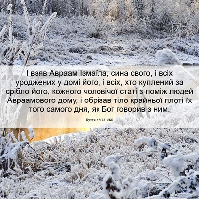 Picture 06 - Буття 17:23 UKR - І взяв Авраам Ізмаїла, сина - Bible Verse Picture