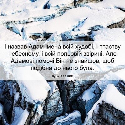 Picture 06 - Буття 2:20 UKR - І назвав Адам імена всій - Bible Verse Picture