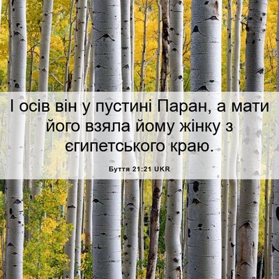 Picture 06 - Буття 21:21 UKR - І осів він у пустині Паран, - Bible Verse Picture