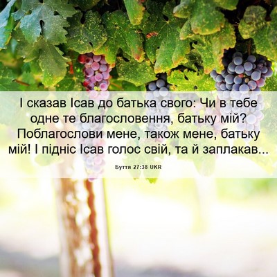 Picture 06 - Буття 27:38 UKR - І сказав Ісав до батька - Bible Verse Picture