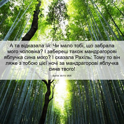 Picture 06 - Буття 30:15 UKR - А та відказала їй: Чи мало - Bible Verse Picture