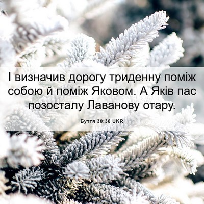 Picture 06 - Буття 30:36 UKR - І визначив дорогу триденну - Bible Verse Picture