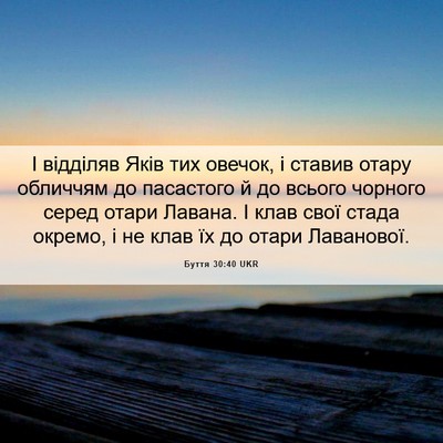 Picture 06 - Буття 30:40 UKR - І відділяв Яків тих овечок, - Bible Verse Picture