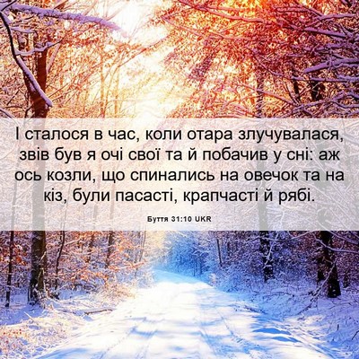 Picture 06 - Буття 31:10 UKR - І сталося в час, коли отара - Bible Verse Picture