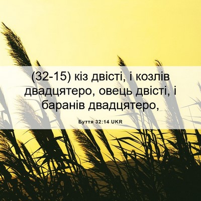 Picture 06 - Буття 32:14 UKR - (32-15) кіз двісті, і козлів - Bible Verse Picture