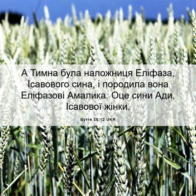 Picture 06 - Буття 36:12 UKR - А Тимна була наложниця - Bible Verse Picture