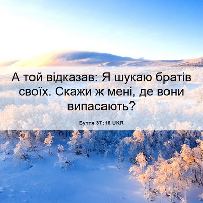 Picture 06 - Буття 37:16 UKR - А той відказав: Я шукаю - Bible Verse Picture