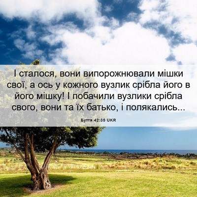 Picture 06 - Буття 42:35 UKR - І сталося, вони - Bible Verse Picture