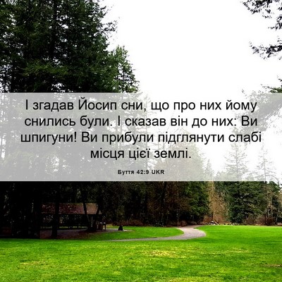 Picture 06 - Буття 42:9 UKR - І згадав Йосип сни, що про - Bible Verse Picture