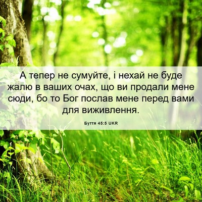 Picture 06 - Буття 45:5 UKR - А тепер не сумуйте, і нехай - Bible Verse Picture