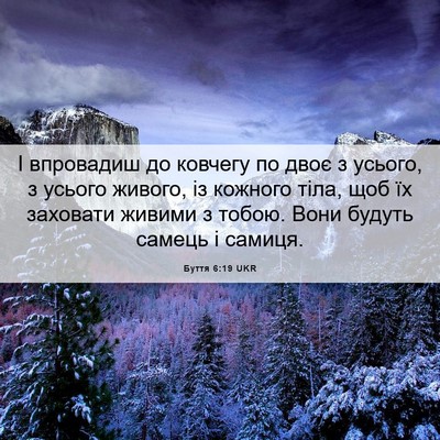 Picture 06 - Буття 6:19 UKR - І впровадиш до ковчегу по - Bible Verse Picture