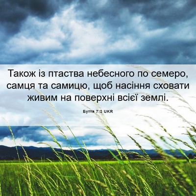 Picture 06 - Буття 7:3 UKR - Також із птаства небесного - Bible Verse Picture