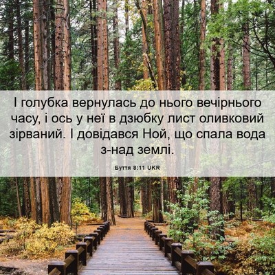 Picture 06 - Буття 8:11 UKR - І голубка вернулась до - Bible Verse Picture