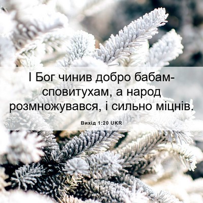 Picture 06 - Вихід 1:20 UKR - І Бог чинив добро - Bible Verse Picture